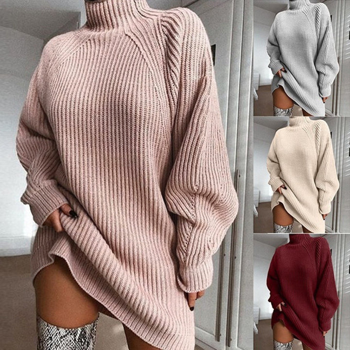 Polo Neck Jumper Dress with Long Sleeves for Winter