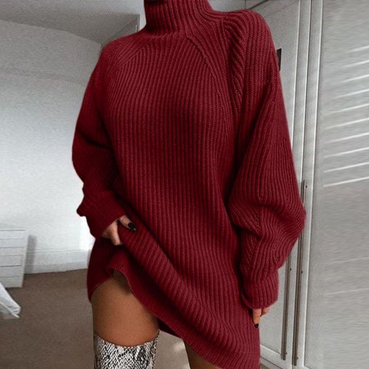 Polo Neck Jumper Dress with Long Sleeves for Winter